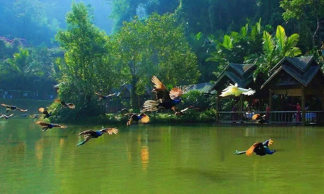 受邀出席